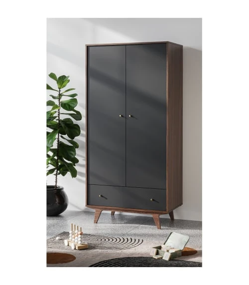 CALICOSY Armoire 2 Portes 1 Tiroir - H185 Cm - Noir 4 CALICOSY Armoire 2 Portes 1 Tiroir - H185 Cm - Noir - Image 2